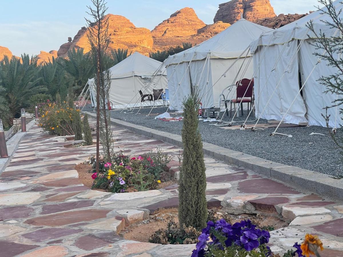 Rural Tents Naseem الخيمةالريفيةalouzaib Al-'Ula Exteriör bild